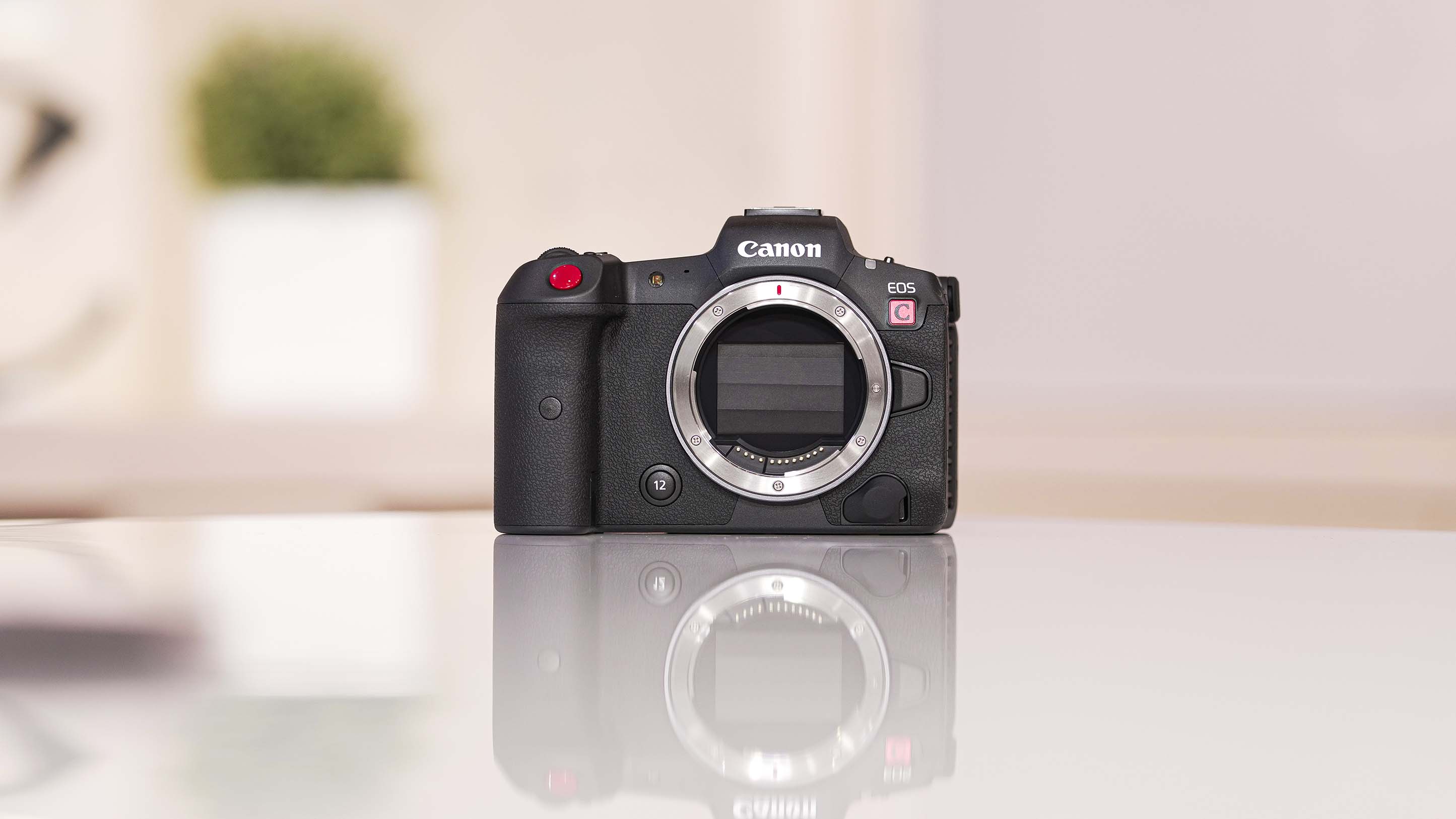 Canon EOS R5 C Foto Koch