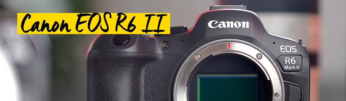 Canon EOS R6 Mark II Foto Koch