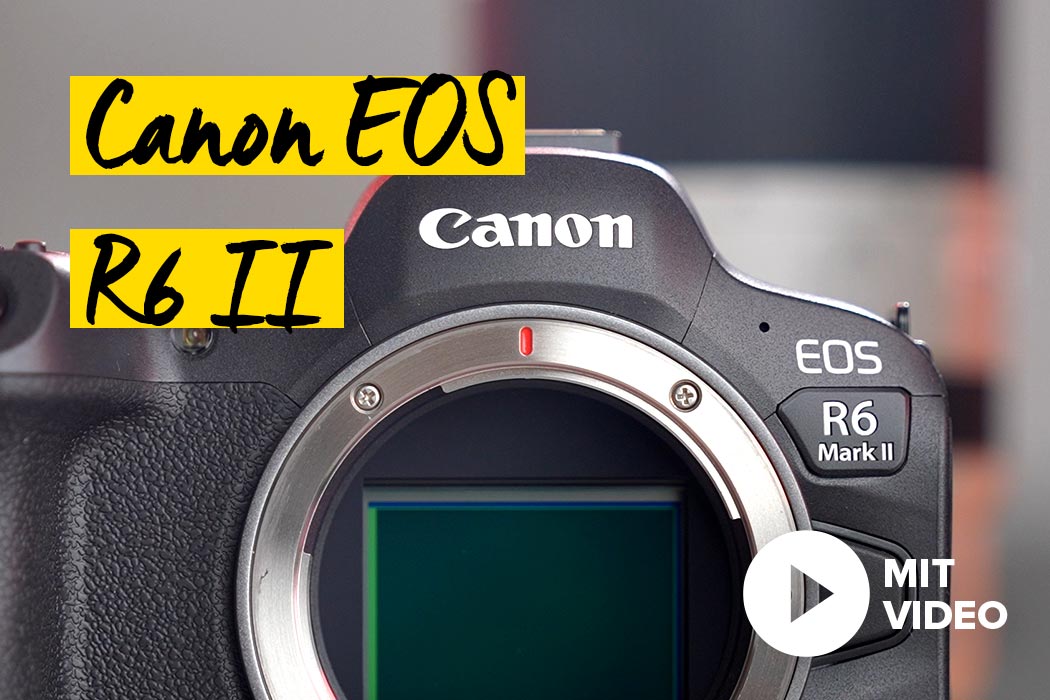 Canon EOS R6 II Foto Koch