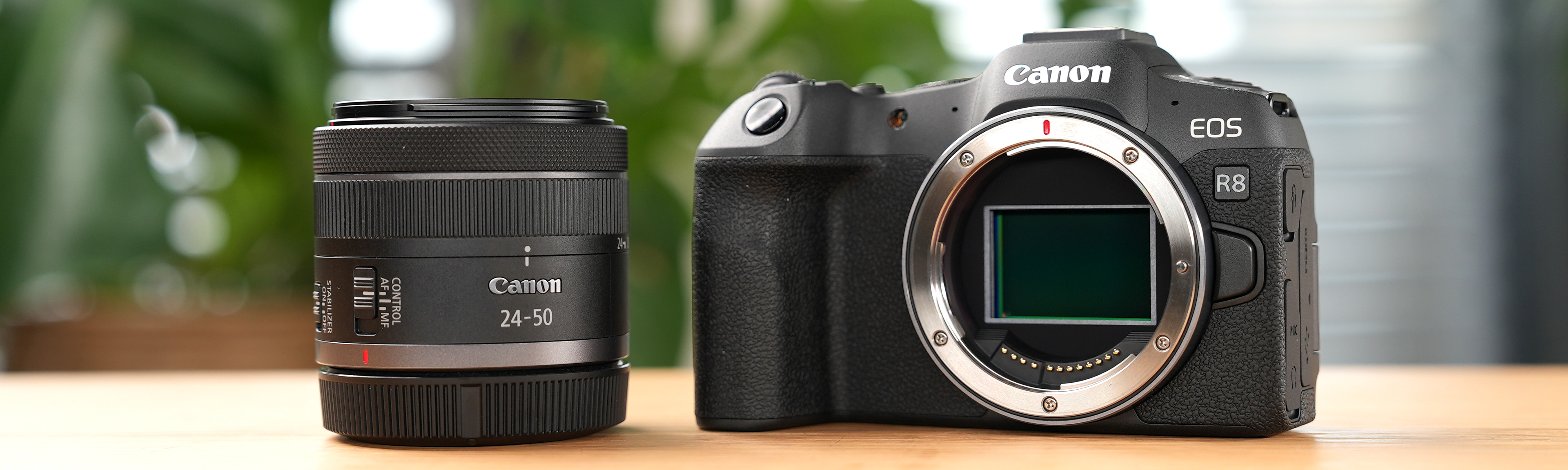 Canon EOS R8 mit RF 24-50mm f/4,5-6,3