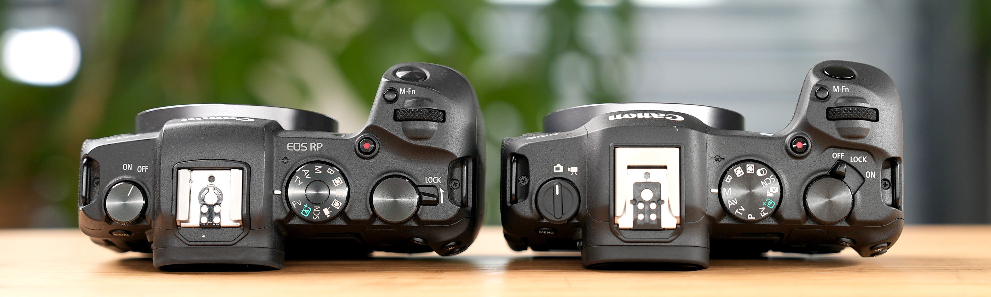 Canon EOS RP vs EOS R8 Gehäuse - Foto Koch