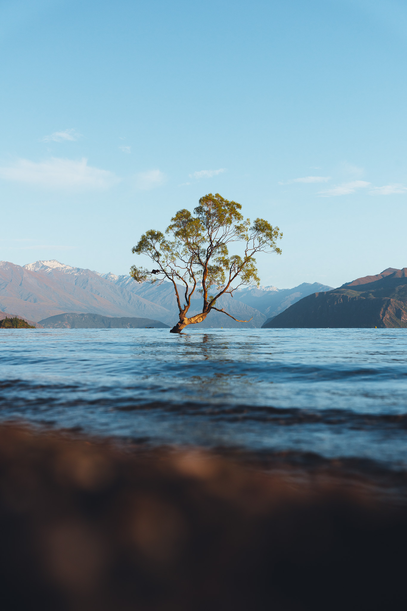 Canon EOS R5II Erfahrungsbericht