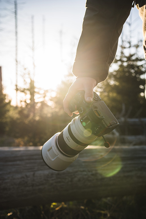 Canon RF 70-200mm f 2.8