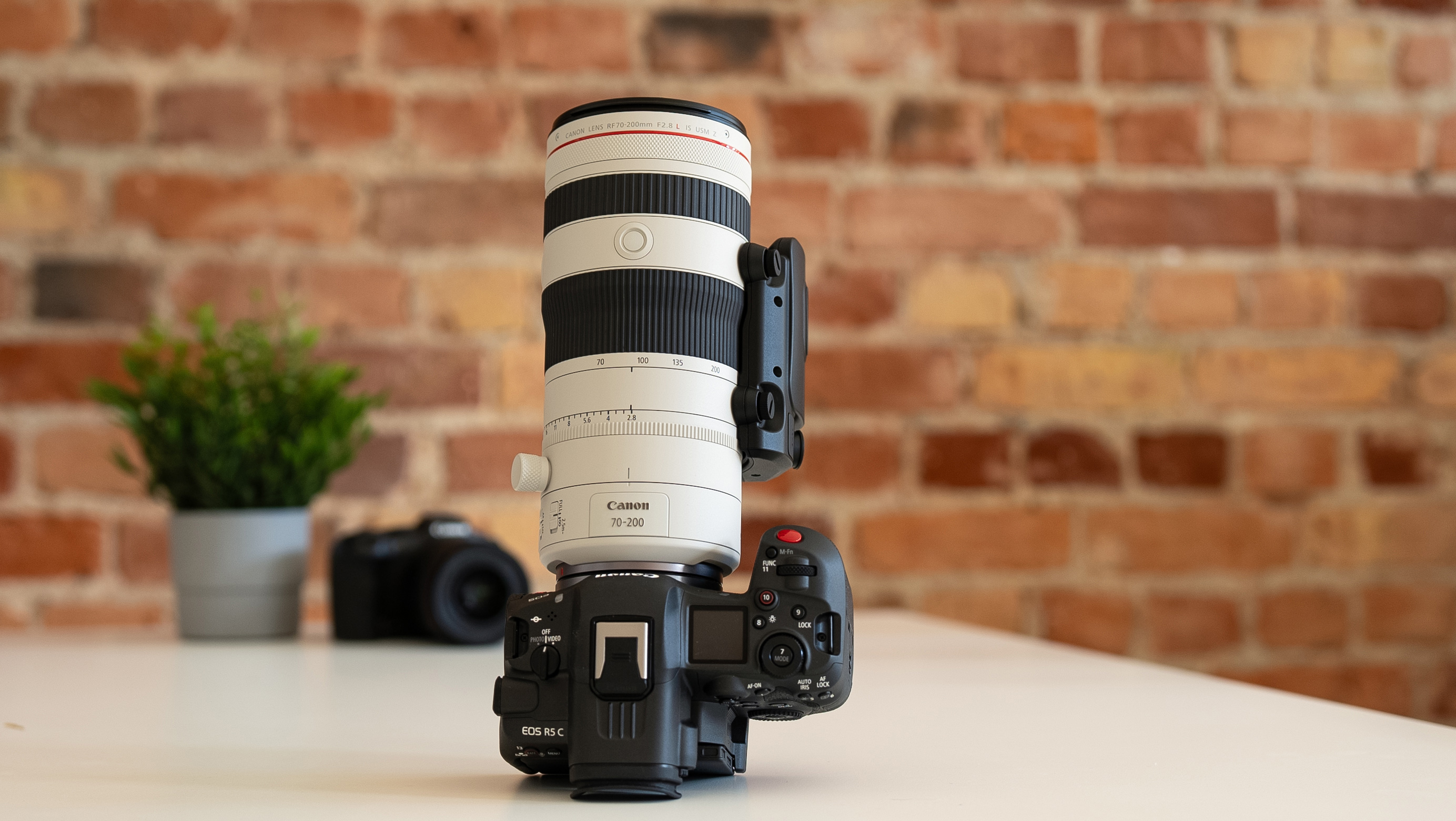 Canon 28-70mm f 2.8 mit Canon EOS R8 