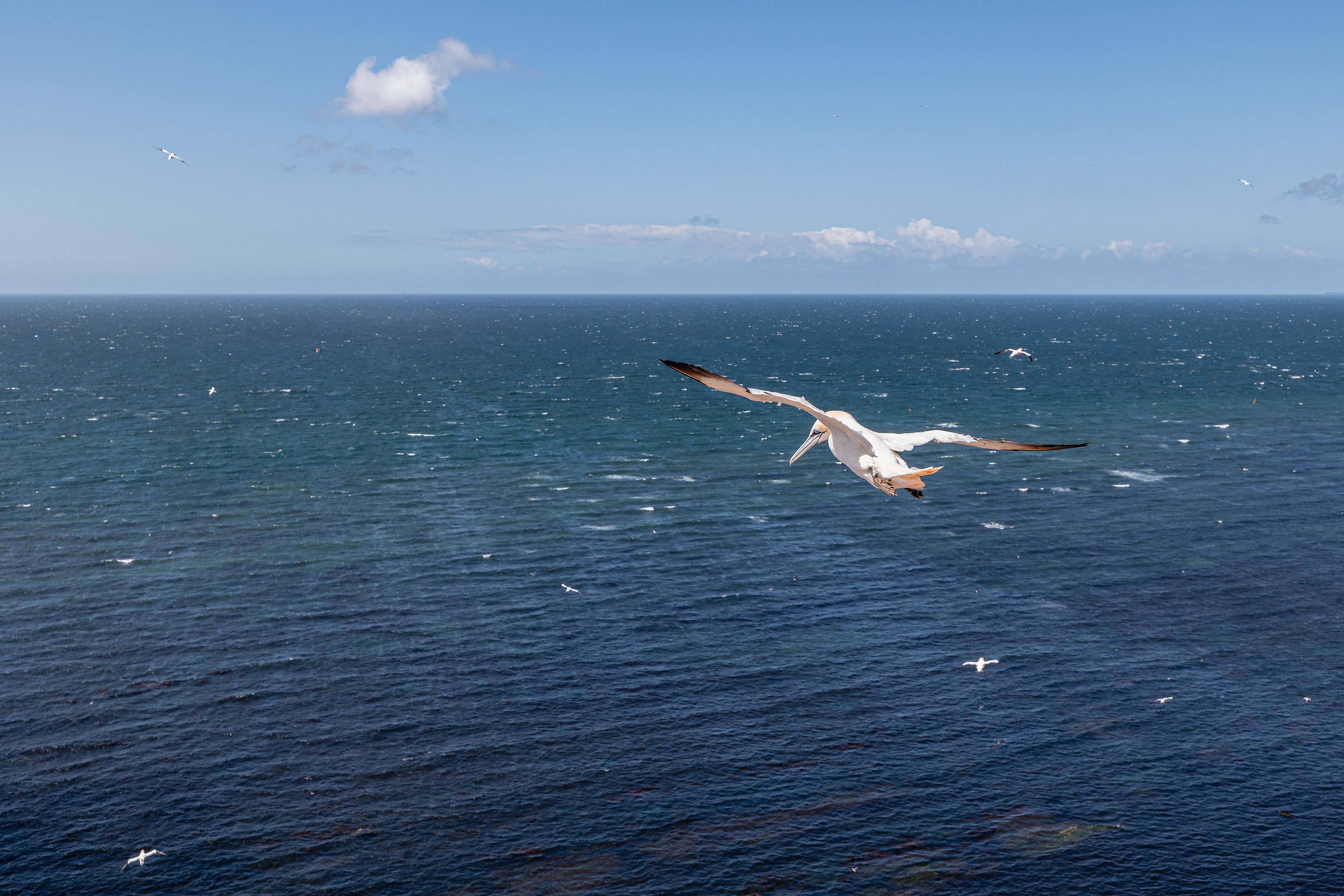 Testbericht Canon RF 15-35mm f2.8