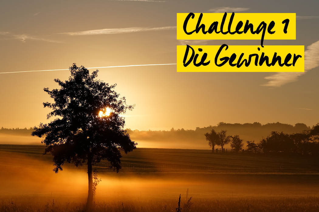 Challenge 1 Gewinner