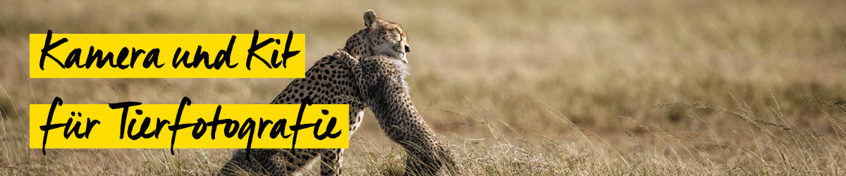 Chris Schmid Tierfotografie