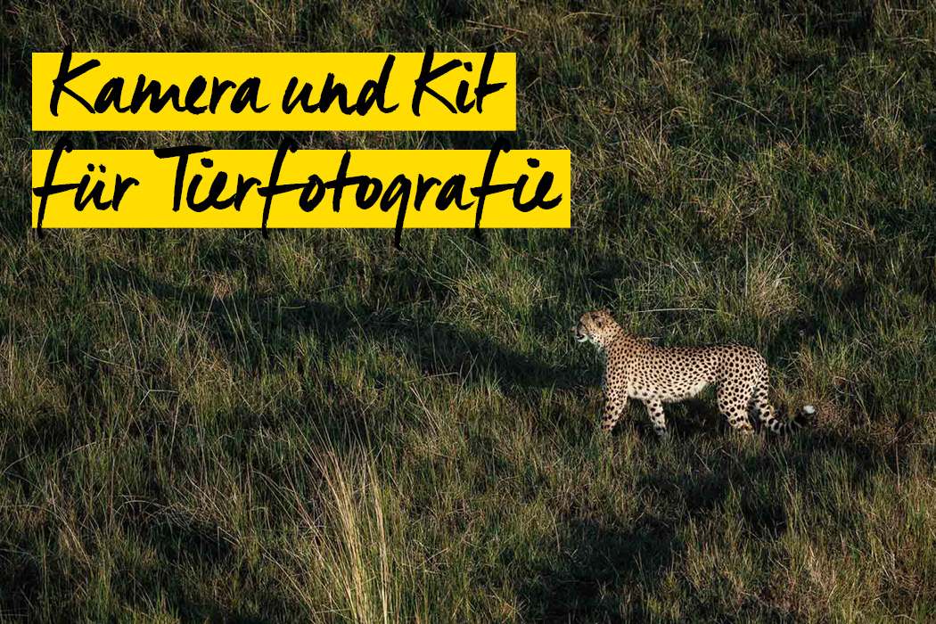 chris schmid tierfotografie