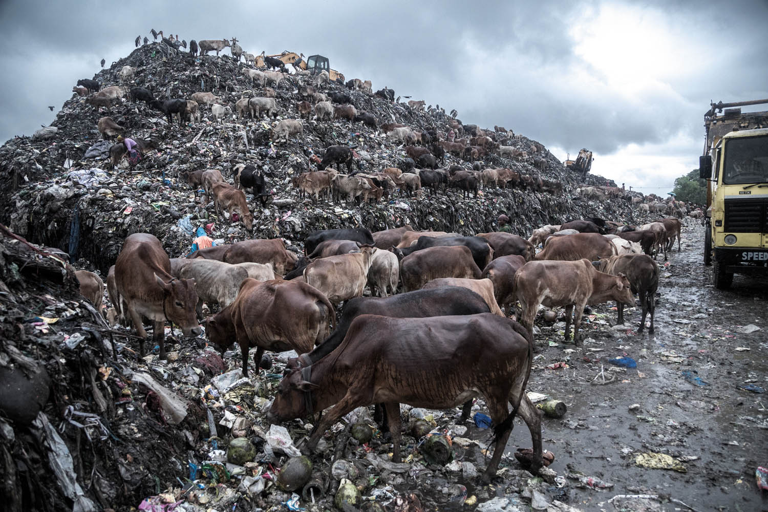 Schnappschuss 61 - CIWEM