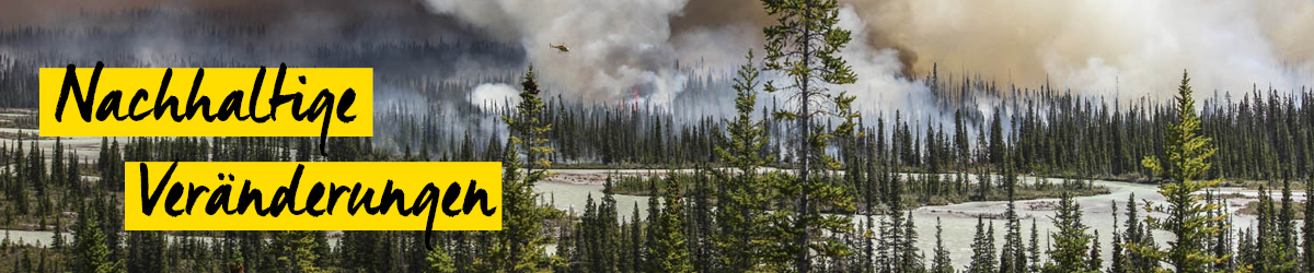 Schnappschuss 61 - CIWEM Schnappschuss 61 - CIWEM