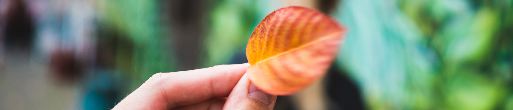 Fotowalk mit Olympus - Beispielbilder