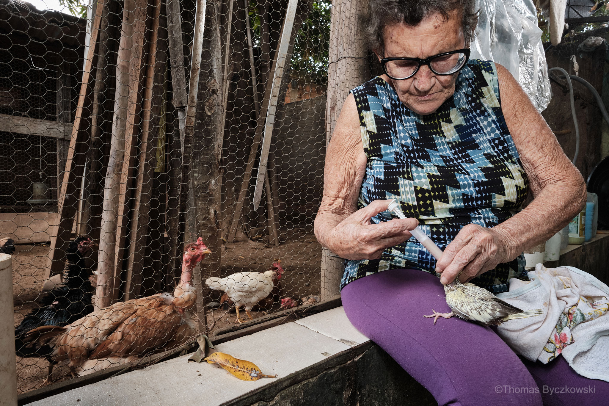 Dammbruchkatastrophe in Brasilien
