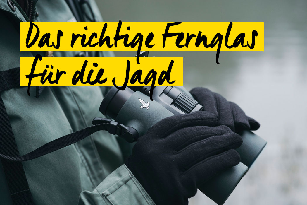 Das richtige Fernglas für die Jagd