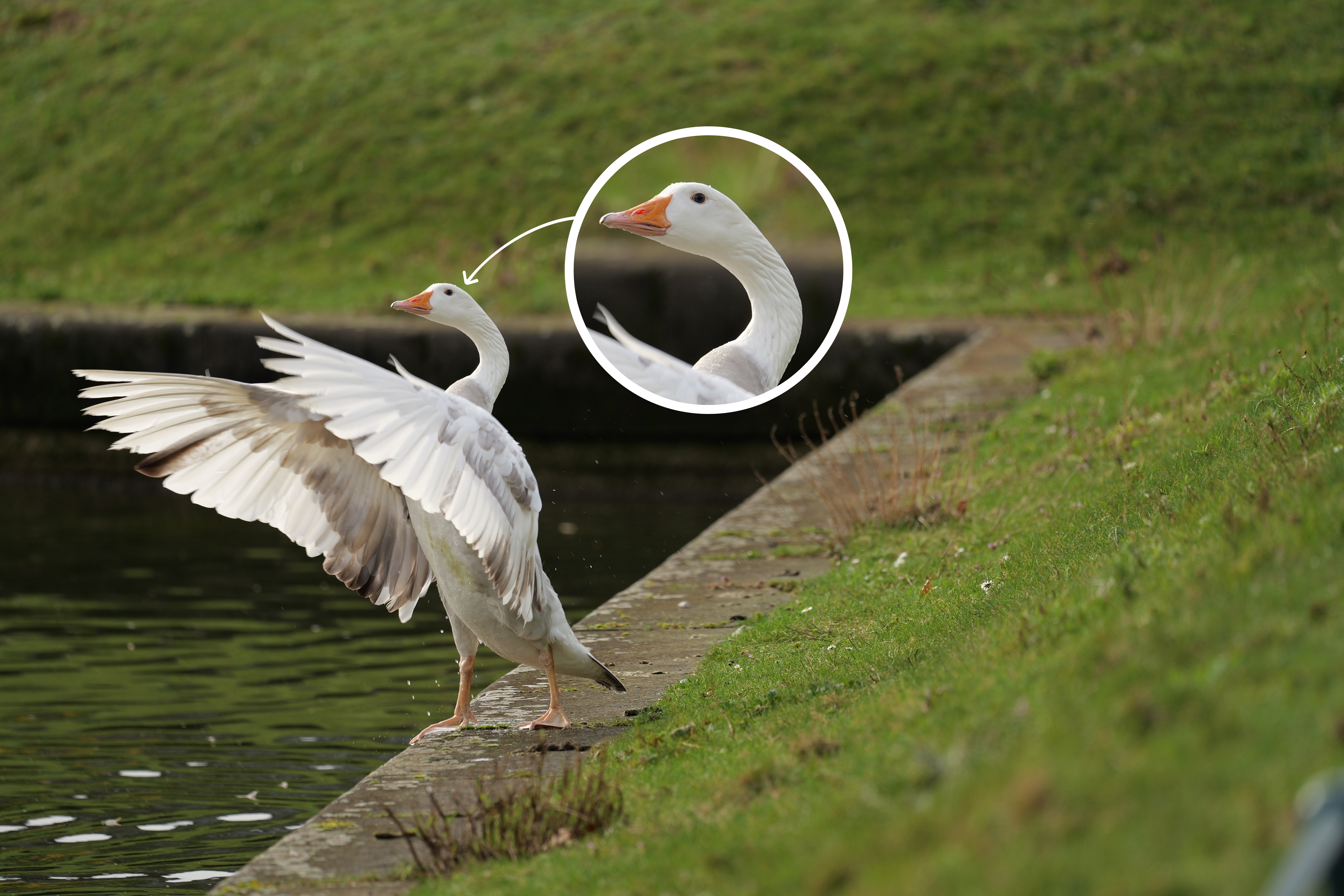 DetailschÃ¤rfe Sigma 500mm bei f5,6