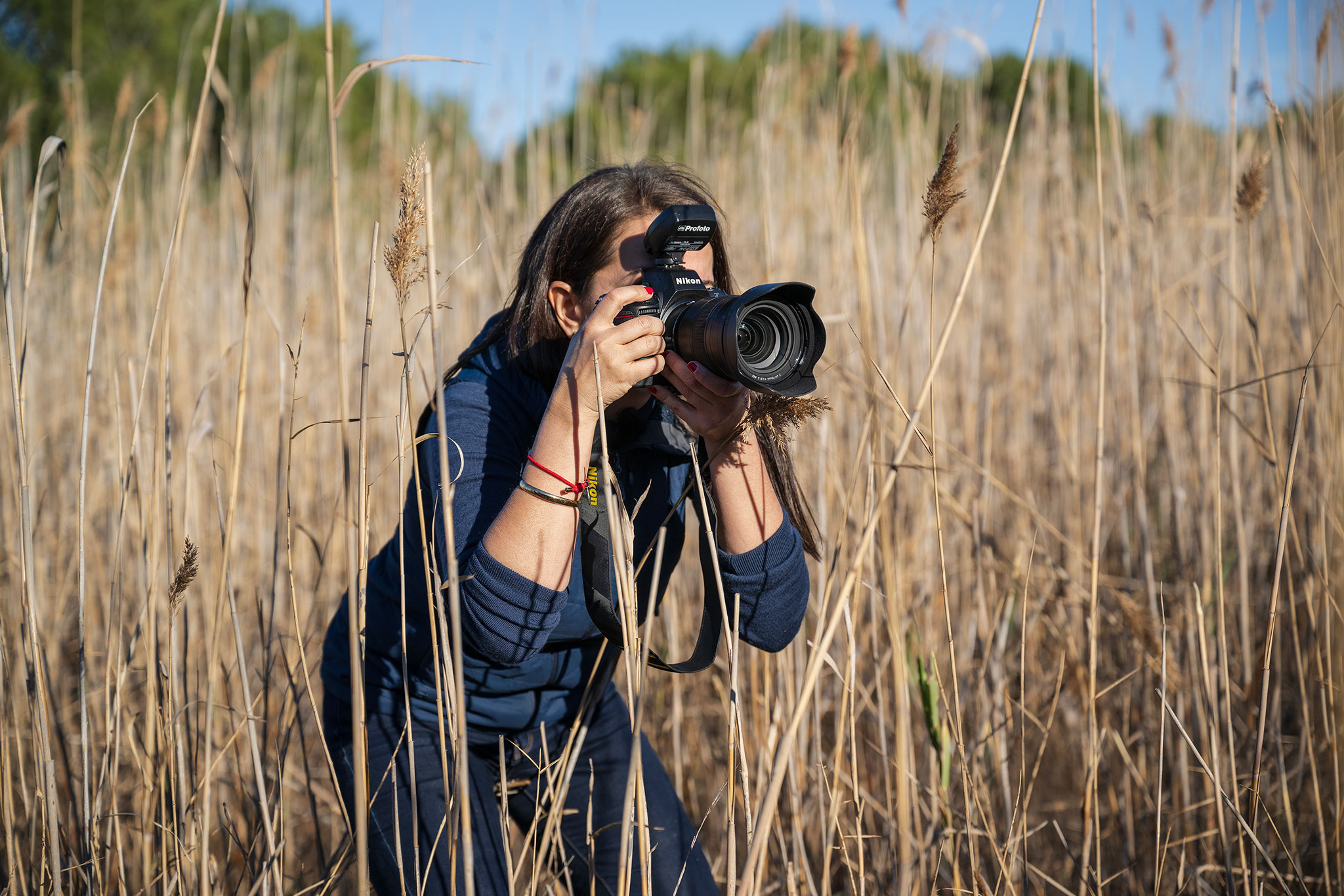 Die besten Kameras 2023 - Nikon Z8