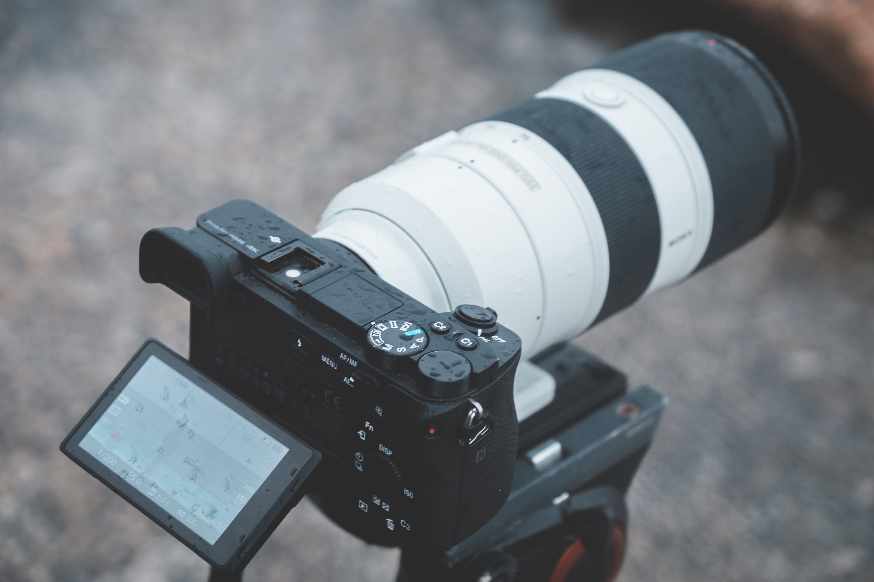 Die besten Stative fuuml;r Wildlifefotografie