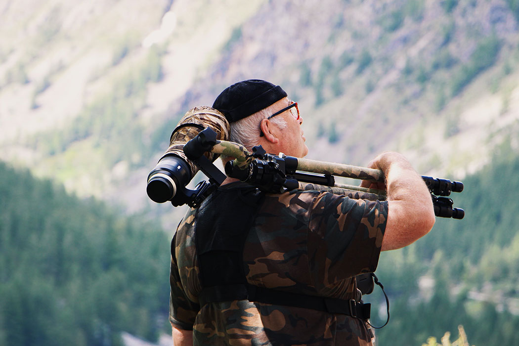 Die besten Stative und Stativköpfe für Wildlifefotografie