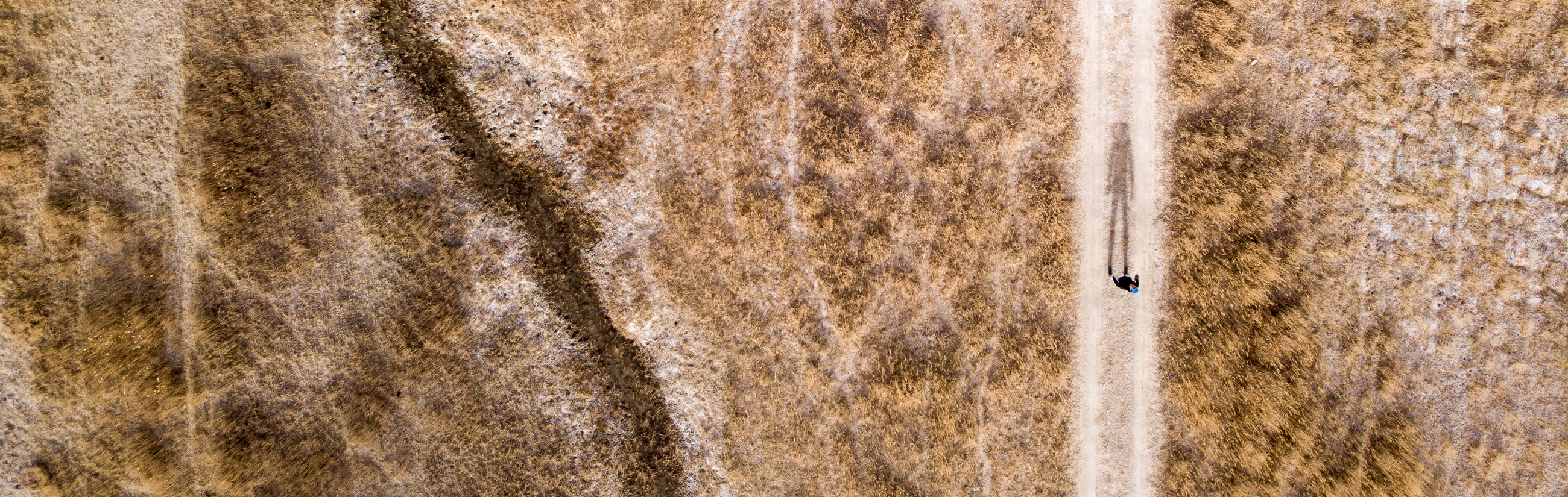 DJI Mavic Air Beispielbild