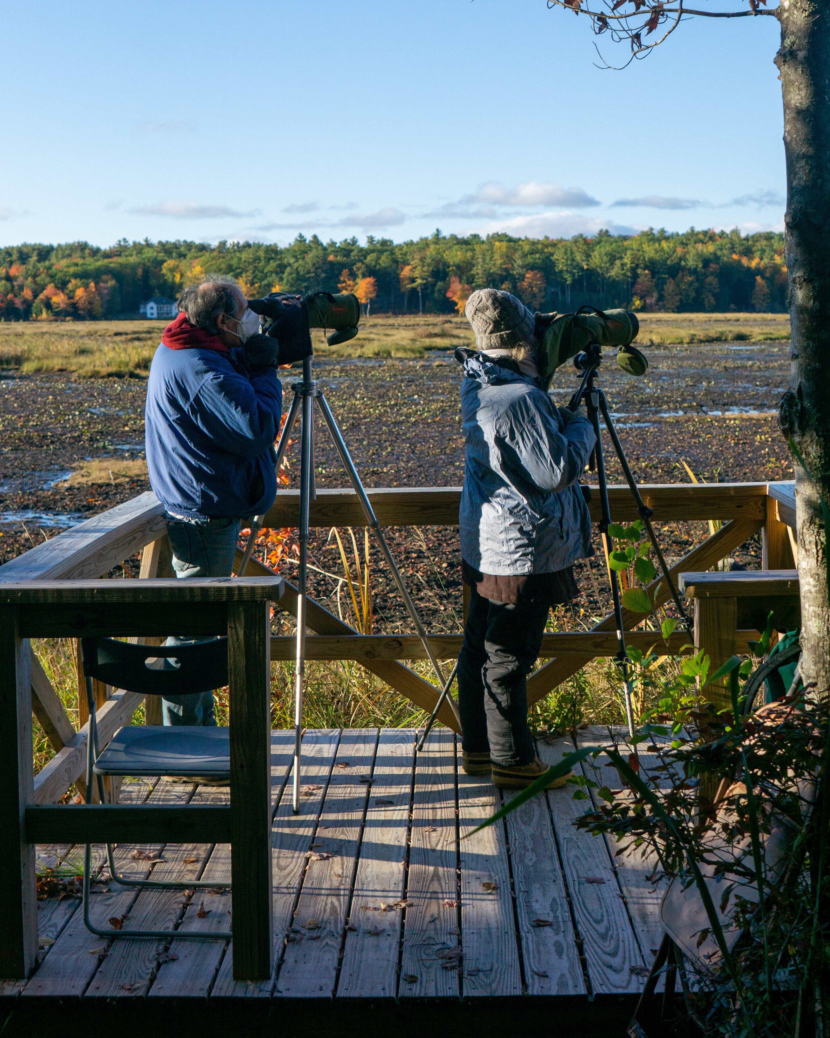 Die besten Kameras für die Wildtierfotografie