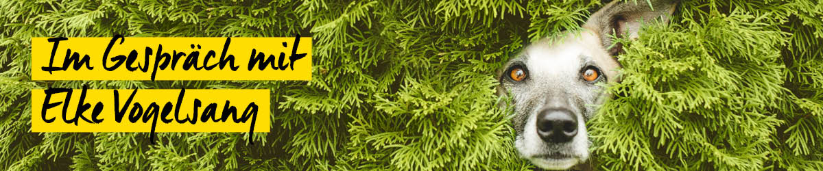 Im Gespräch mit Elke Vogelsang