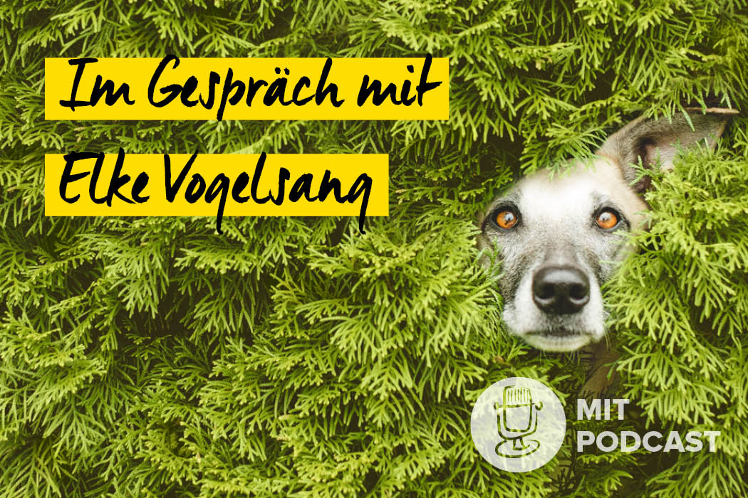 Elke Vogelsang Hundefotografie