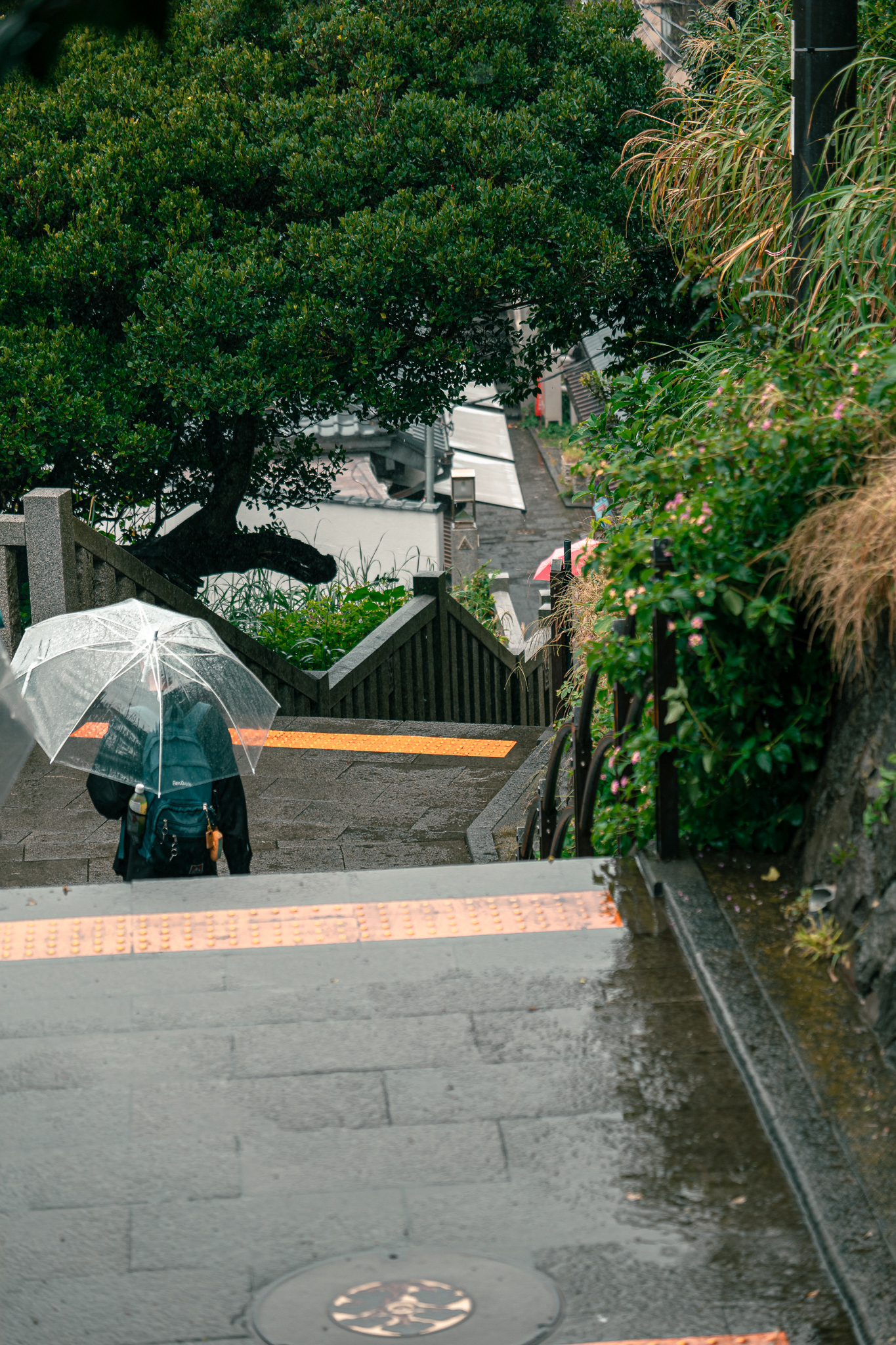 Endoshima Regenwetter mit dem Lumix 24-105mm