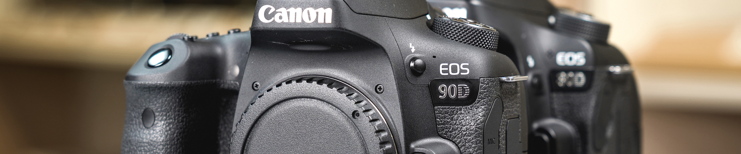 Canon EOS 90D vs 80D
