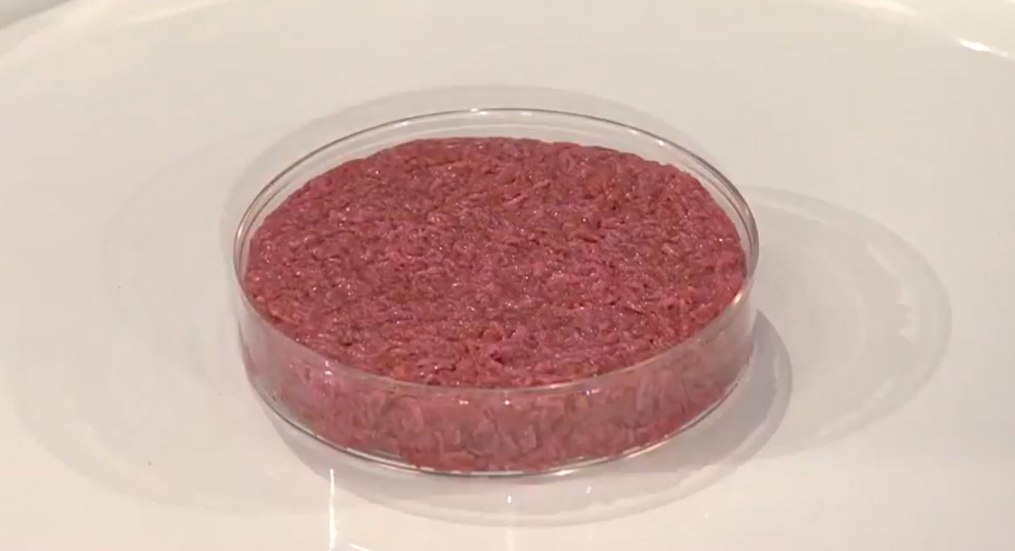 Clean Meat - In Vitro