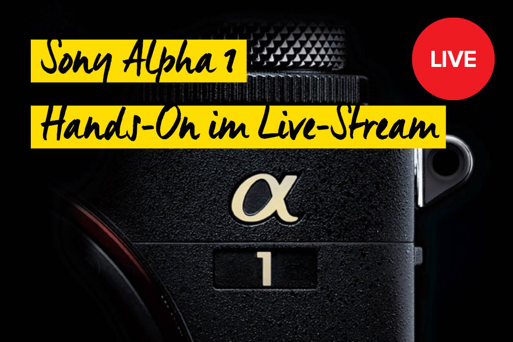 Sony Alpha 1 Live-Stream