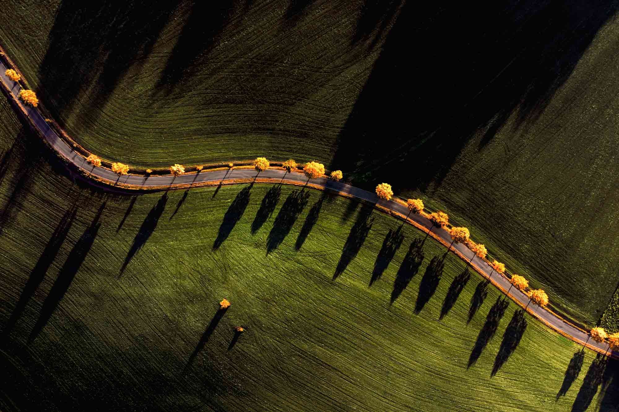 Gewinnerbild Challenge