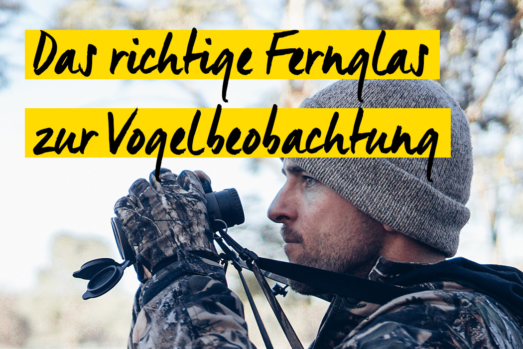 Ratgeber rund um die Vogelbeobachtung