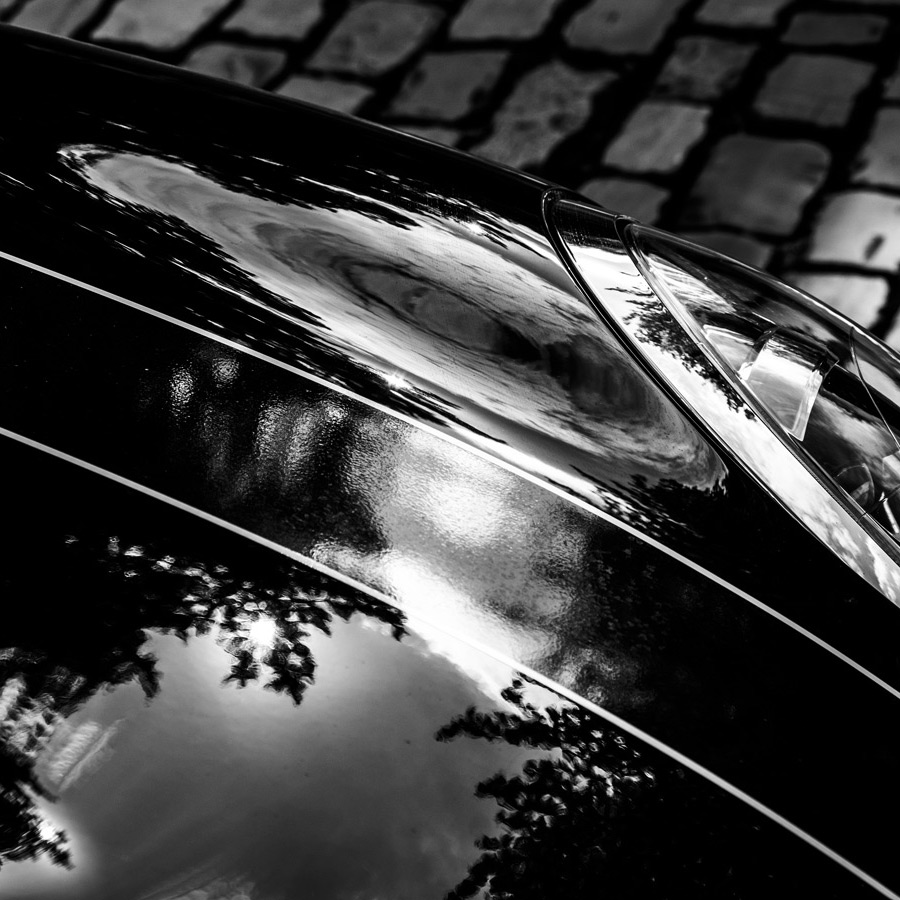 foto-koch-artikel-thomas-stelzmann-silberstreifen-haube-eines-minis