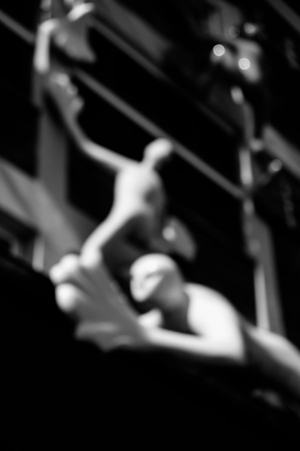 foto-koch-artikel-thomas-stelzmann-unschaerfe-flossi