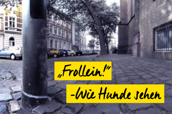 foto-koch-frollein-wie-hunde-sehen-thomas-stelzmann-content-artikel-teaser