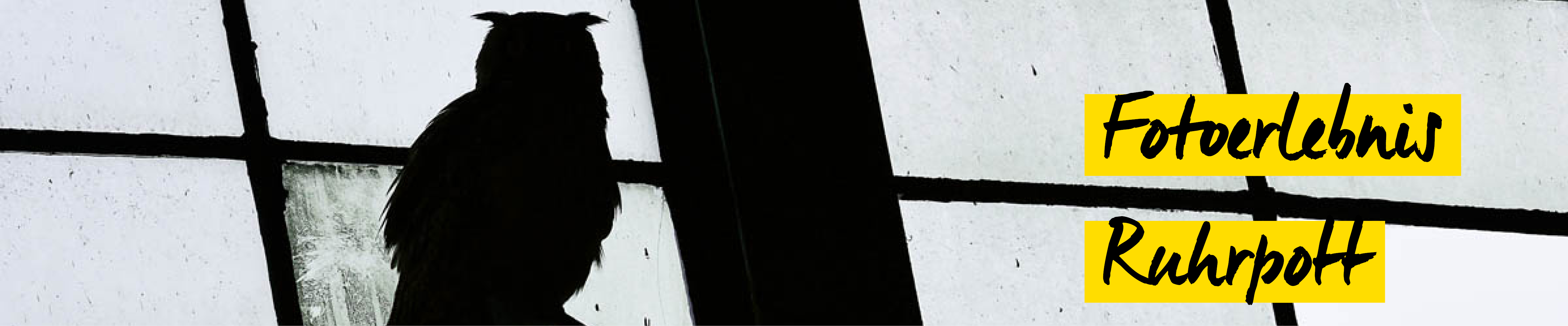 Schnappschuss 61 - Auf Foto-Safari im Ruhrpott Schnappschuss 61 - Auf Foto-Safari im Ruhrpott
