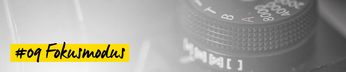 Besser fotografieren Fokusmodus