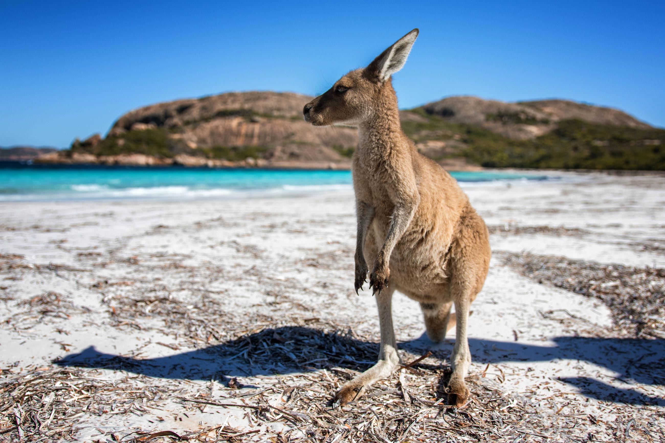 Fotografieren mit kurzer Verschlusszeit