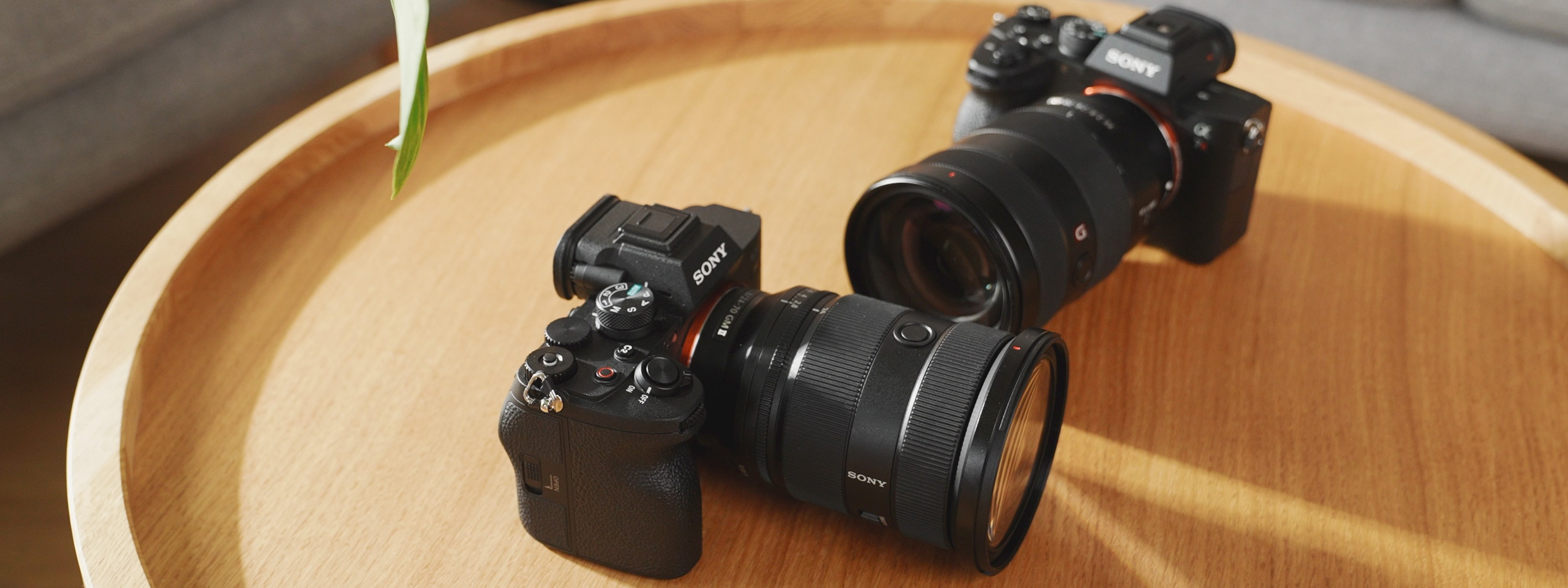 Sony SEL 24-70mm f/2,8 GM II - Foto Koch