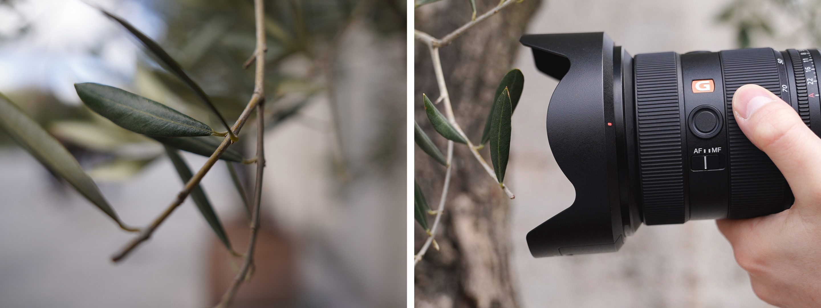 Sony SEL 24-70mm f/2,8 GM II - Foto Koch