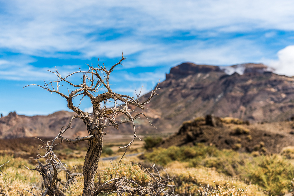 Fotoreise Insel der Vielfalt