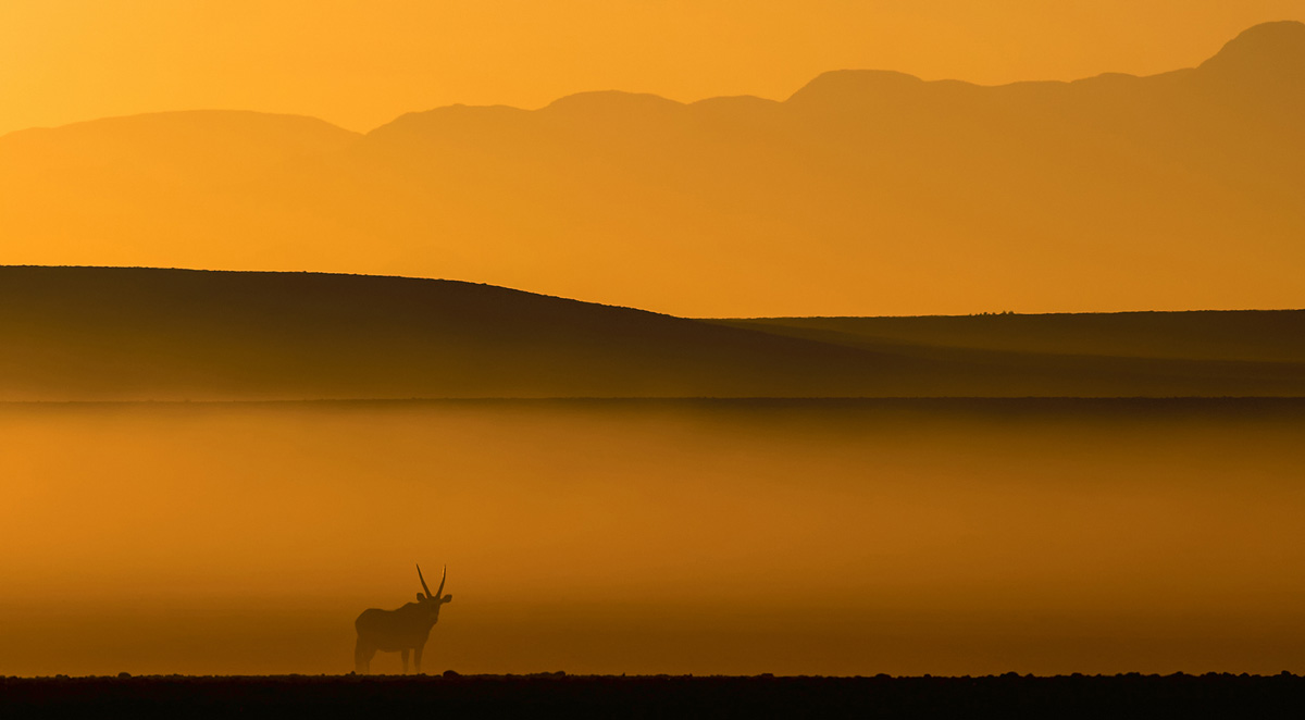 Fotowettbewerb Natur Platz 1 Peter Kniep