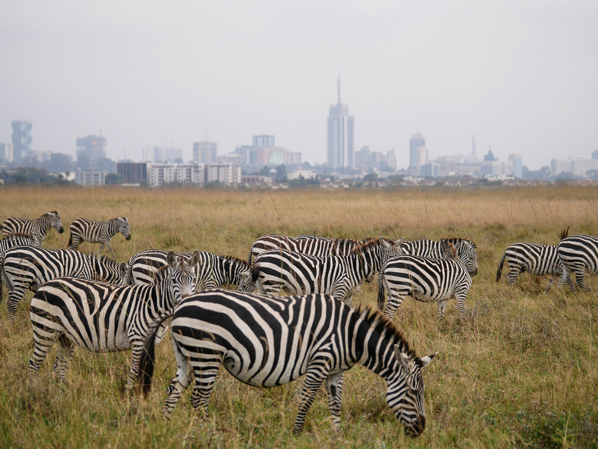 Fotowettbewerb Natur Platz 4 Stefan Skouti
