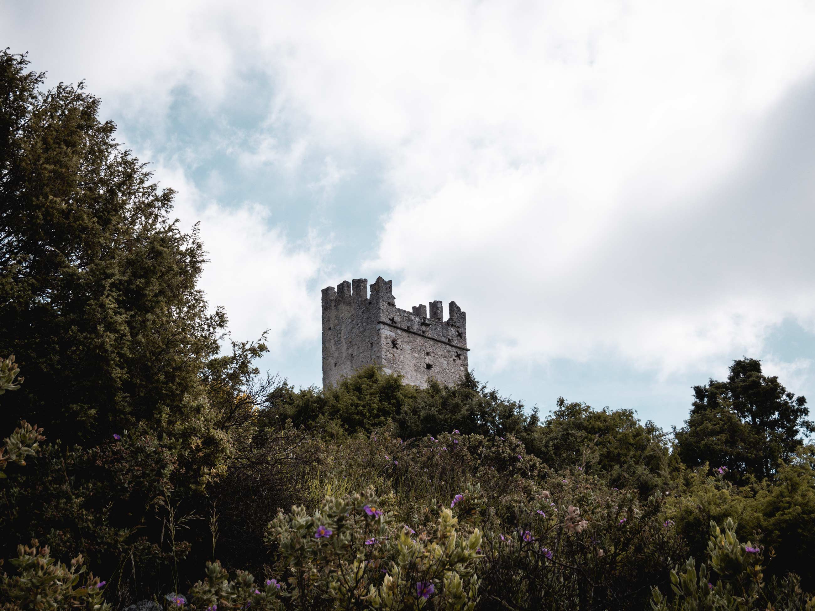 testbilder von der Lumix G91