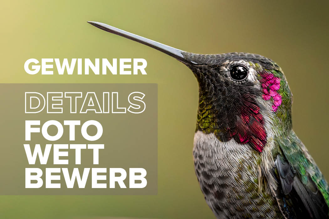 Fotowettbewerb Details - Das sind die Gewinner!