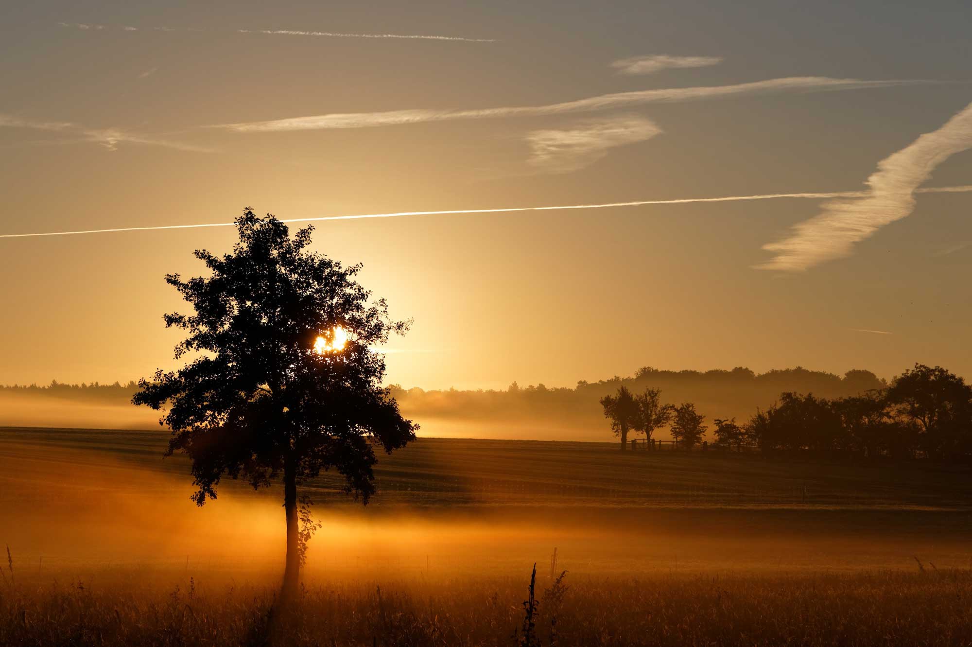 Heimische Landschaft