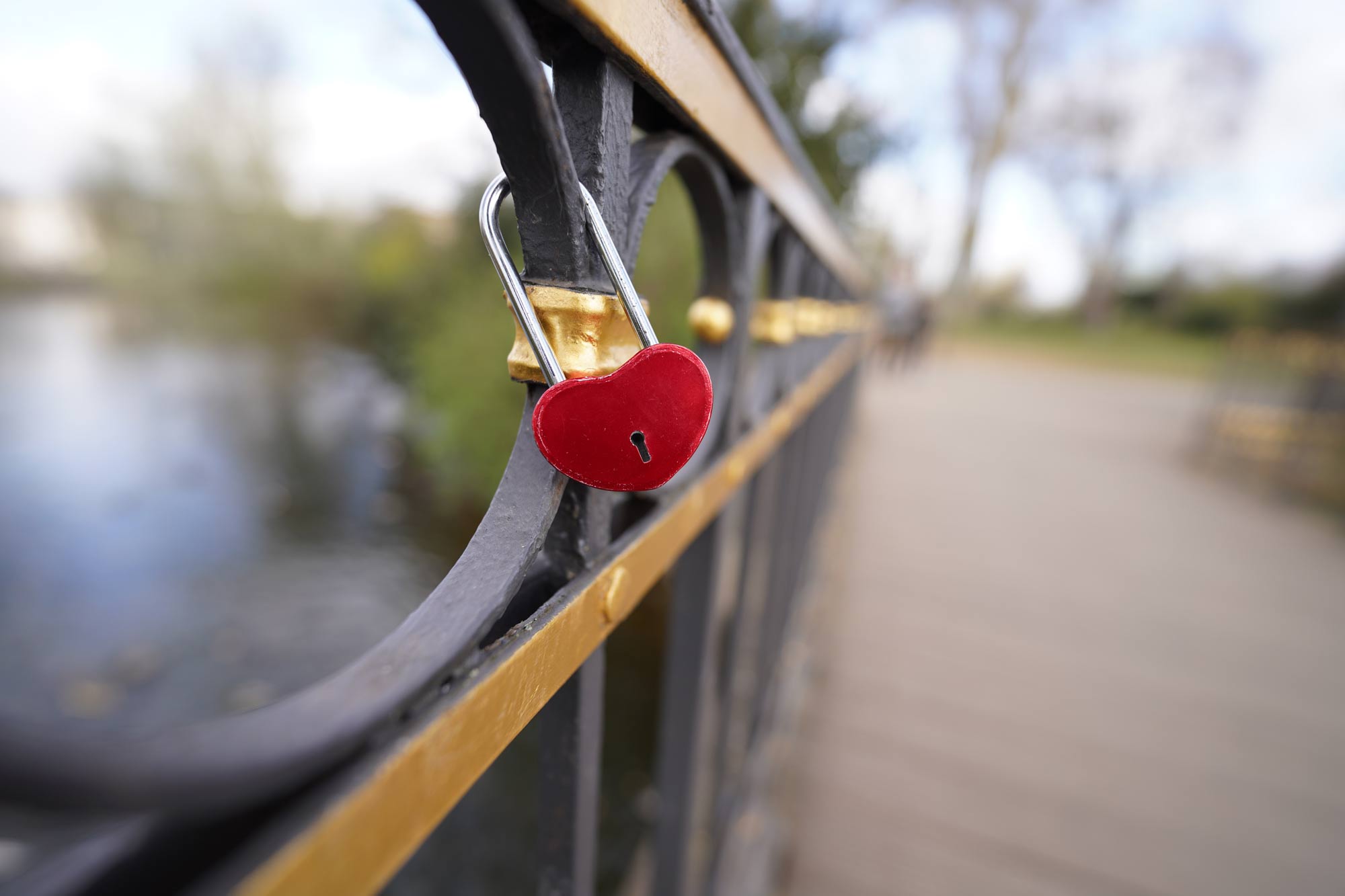 Sony SEL 14mm f/1,8 GM