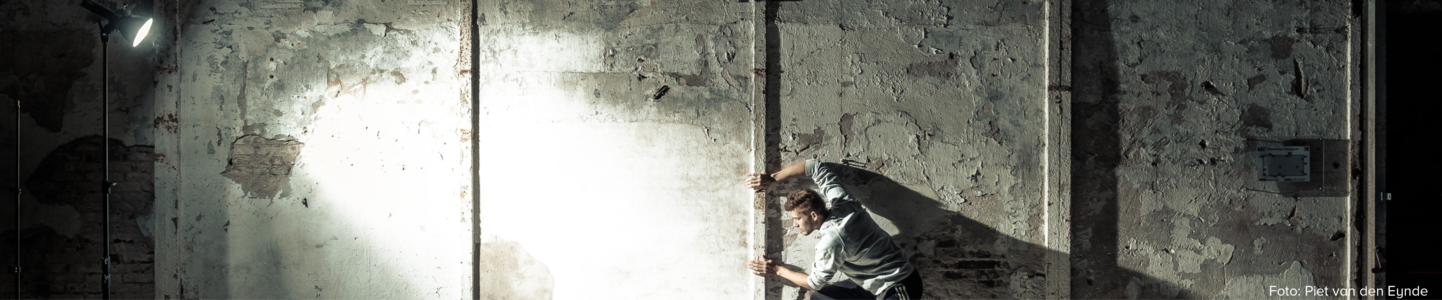 Godox Marken Store Zubehör