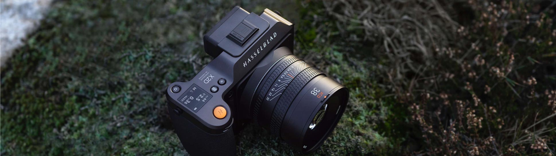 Hasselblad X2D 100C mit XCD 38mm f/2,5 - Foto Koch