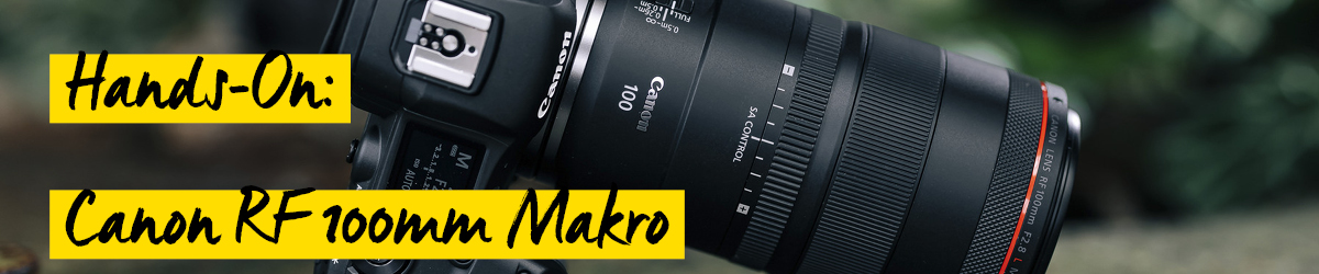 Canon RF 100mm Makro