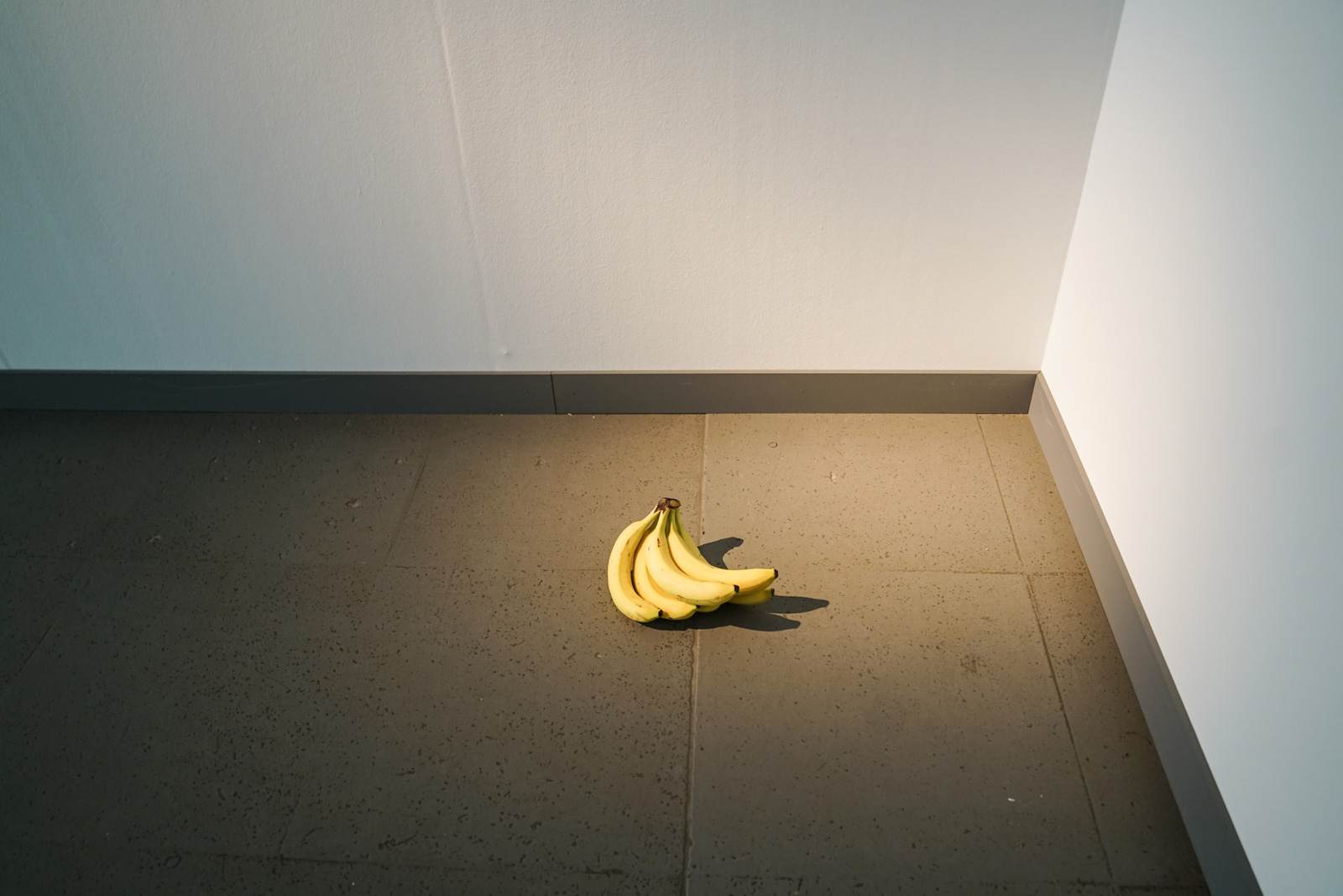 Im Zweifel für den Zweifel: Die große Weltverschwörung - Ausstellung im NRW Forum